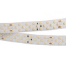 Лента светодиодная RT 2-5000 24V Warm2700 3x2 (2835, 1260 LED, CRI98) (Arlight, 27 Вт/м, IP20)