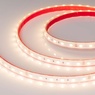 Лента светодиодная герметичная RTW-PS-B60-13mm 24V Warm3000 (14.4 W/m, IP67, 5060, 5m) (Arlight, 14.4 Вт/м, IP67)