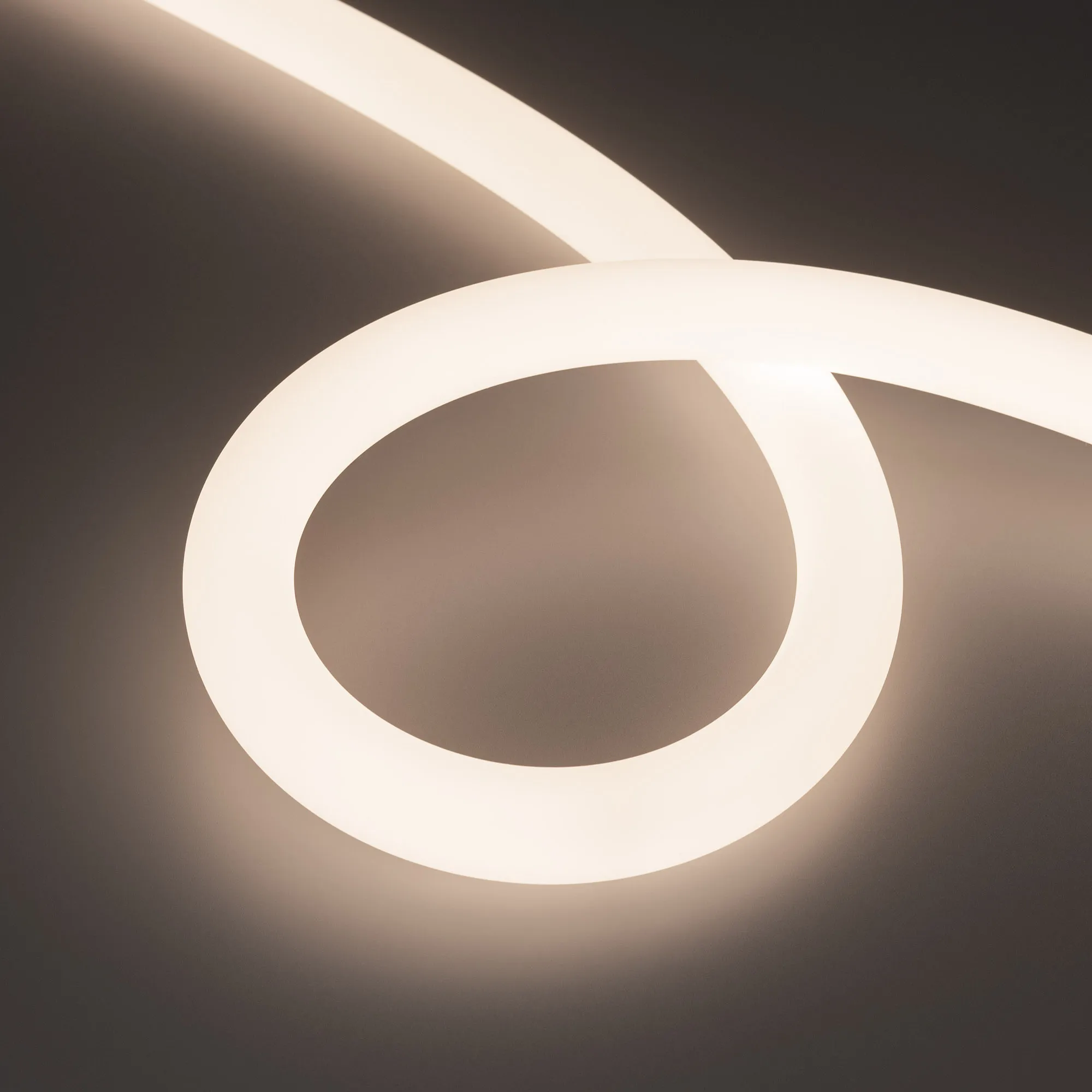 Лента светодиодная герметичная MOONLIGHT-TOP-FP-X1088-D25mm 24V Day4000 (20 W/m, IP65, 5m, wire x1) (Arlight, Вывод прямой, 3 года) - изображение товара